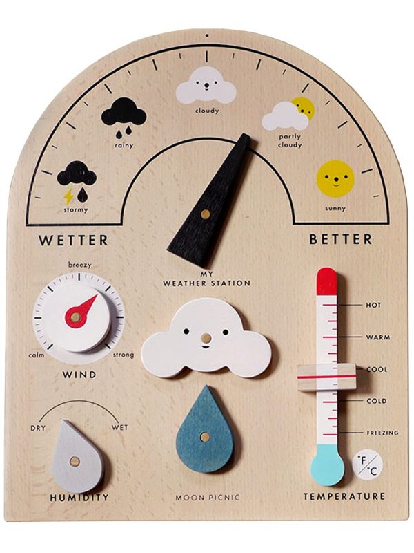 Moon 1st Birthday Gift Ideas Picnic Weather Station
